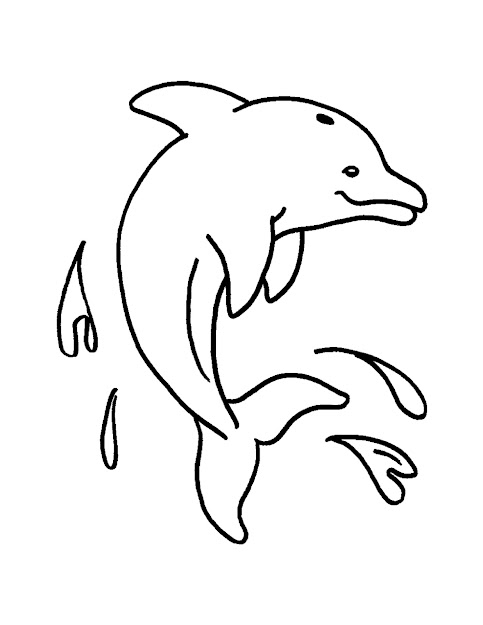 Cute Marine Life Source Baby Sea Animal Coloring Pages 