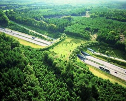 A wildlife bridge to help animals cross the highway.