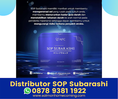Manfaat SOP Subarashi untuk Stroke, WA 0878 9381 1922