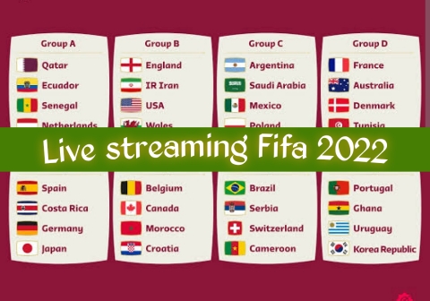 Qatar fifa world cup 2022 live streaming usa
