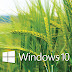 Kumpulan Wallpaper HD Windows 10 Part 2