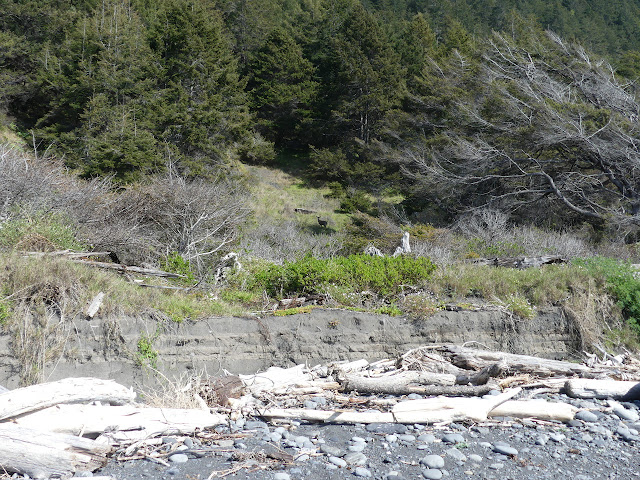 deer up another low, grassy shelf