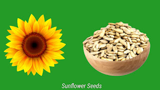 Sunflower Seeds