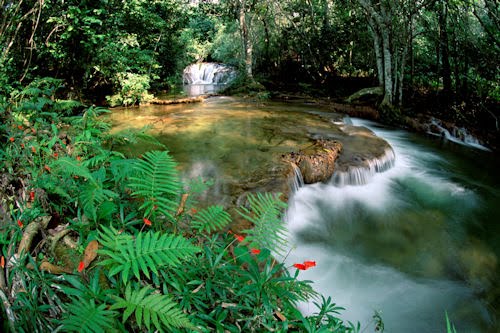 Fotografías de Brasil (6 fotos para compartir)