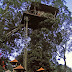 Green Magic Treehouse, Vythiri, Kerala, India