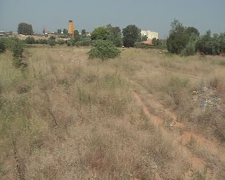 ΣΕ ΠΛΗΡΗ ΕΓΚΑΤΛΑΕΙΨΗ ΤΑ ΠΑΛΙΑΜΠΕΛΑ-ΓΕΜΙΣΕ ΦΙΔΙΑ Η ΠΕΡΙΟΧΗ