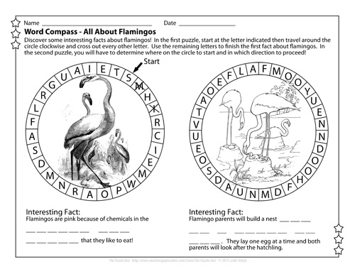 Flamingo Word Compass from The Puzzle Den