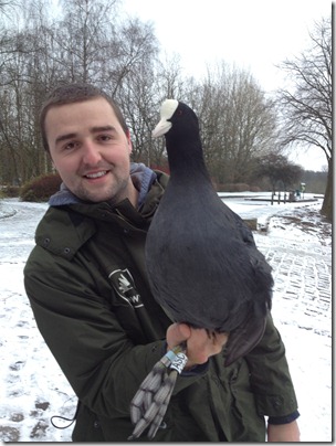 Big Coot.