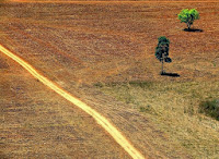 Desmatamento na Amazônia aumenta 28%