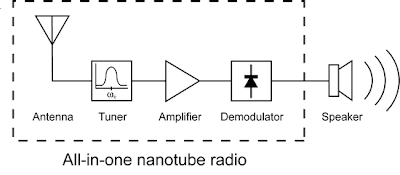 All four essential components of a radio, antenna, tuner, amplifier, and demodulator, may be implemented within a single carbon nanotube.