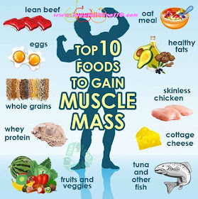 www.bodybuilding110.com: Top 10 Foods to Gain Muscle Mass