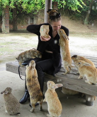 Tierna imagen de conejos cariñosos