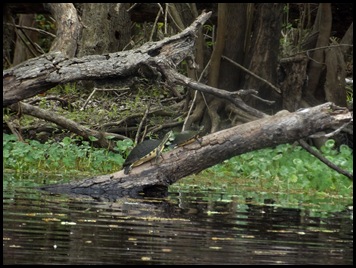 Paddle to Hontoon 075