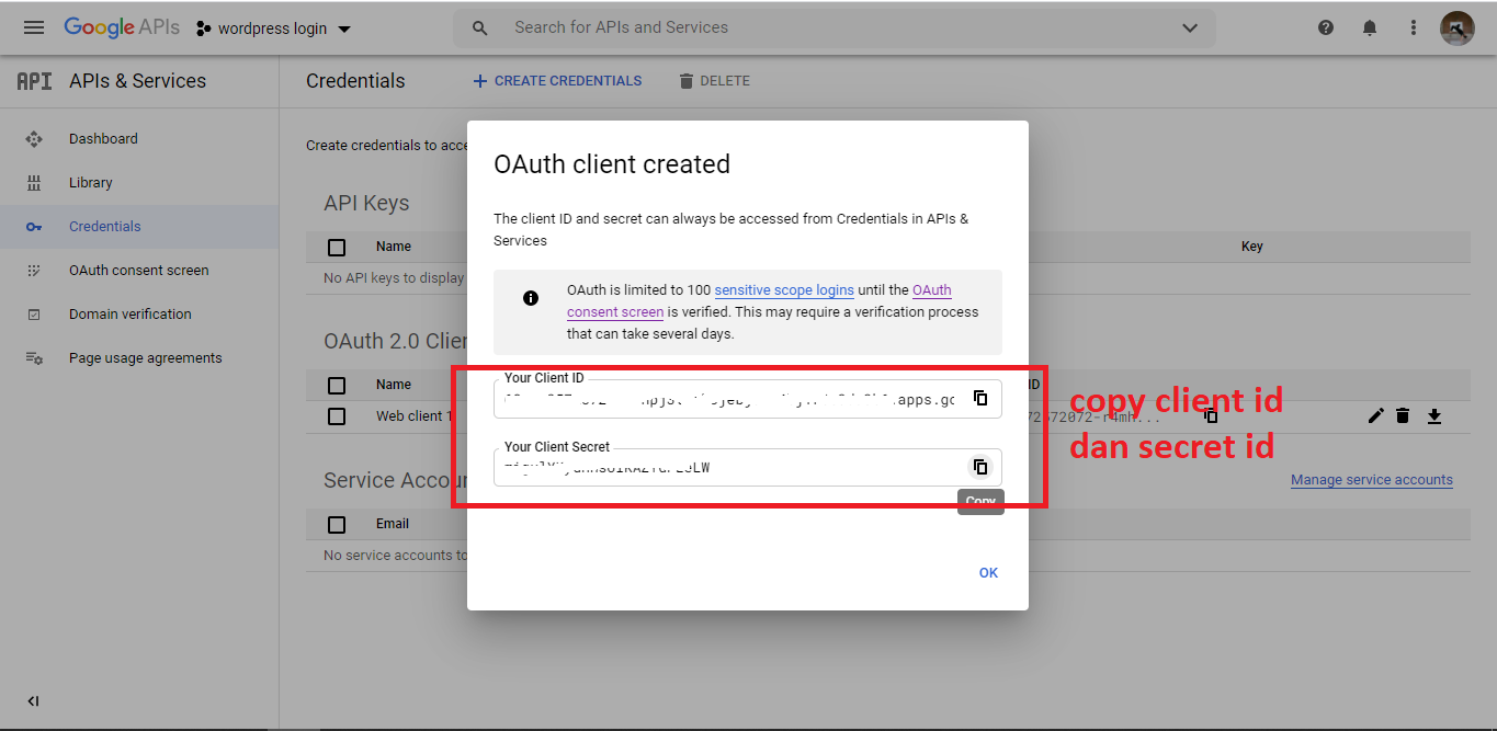 cara membuat login google di wordpress