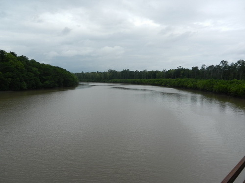 sungai timika