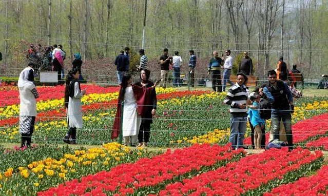 Tulip Garden resonates with vibrant electoral awareness programme