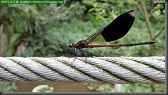 20140912_162627_039_FuYang_Park