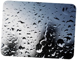 rainn!