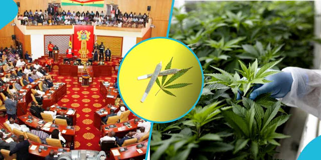 Ghana passes Law to allow industrial production of cannabis