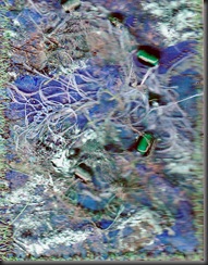 ATC2a