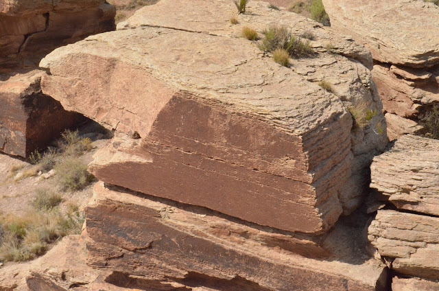 Petrified Forest National Park, Arizona - Petroglyphs