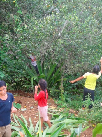 DSC01721