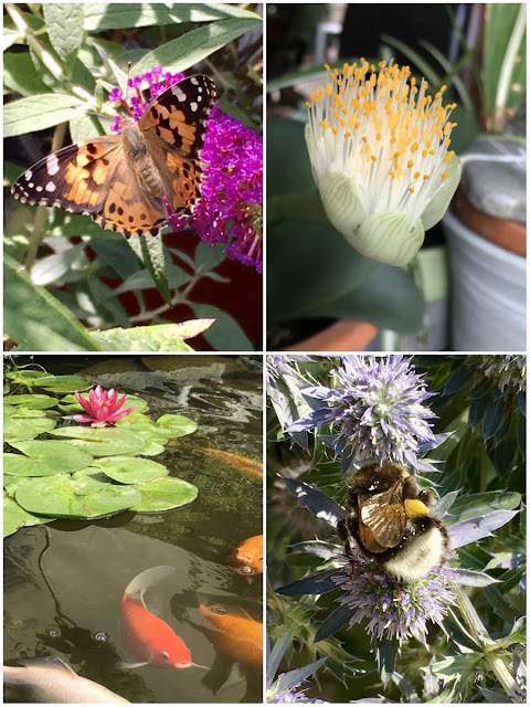 Hummel, Fische, Schmetterling und Blüten