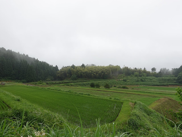 鳥取県道52号岸本江府線　鳥取県西伯郡伯耆町岩立　道路沿いの眺望