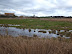 Floods on Cley marshes