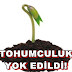 TOHUMCULUK YOK EDİLDİ