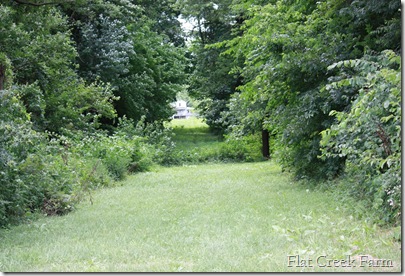secret_passageway secret_passageway
