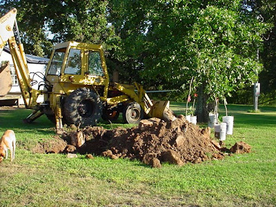 tree drawing with roots. tree drawing with roots. roots do draw Pecan+tree+