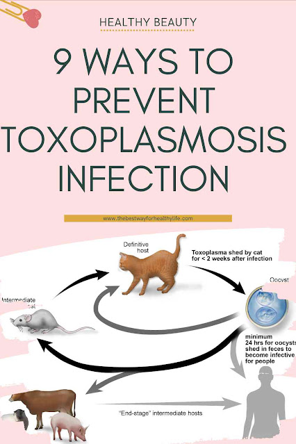 picture how to prevent toxoplasmosis infection