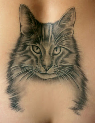 Cat tattoo