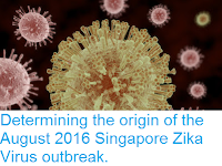 http://sciencythoughts.blogspot.co.uk/2016/11/determining-origin-of-august-2016.html