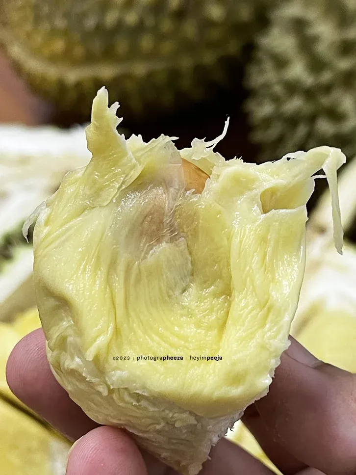 Isi buah durian