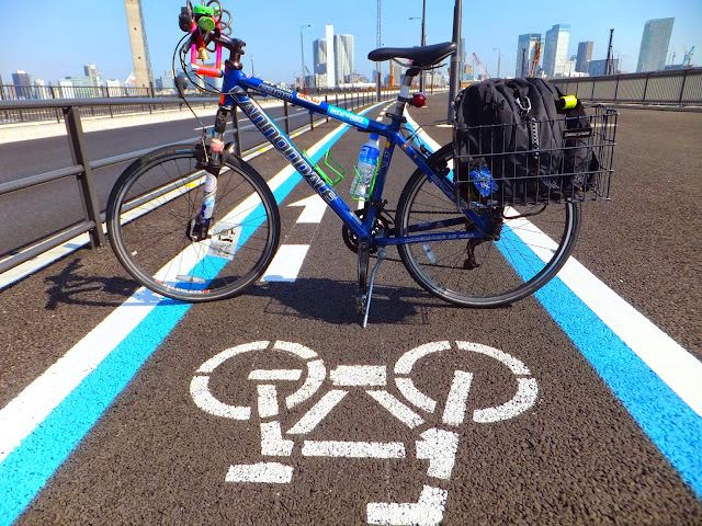 Separated Bicycle Lane,  Odaiba,Tokyo, Japan