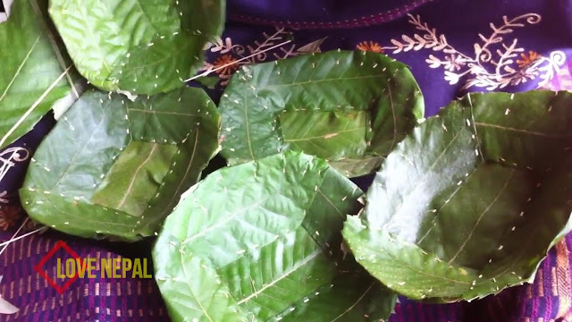 Fresh  Tapari टपरी Leaf plate