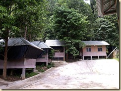 Campsite Venue D