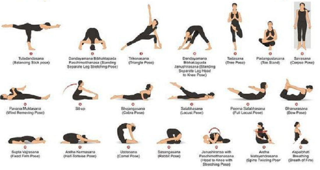 Amazon.com: Yoga Poses Reference Chart Studio Gray Cool Wall Decor Art  Print Poster 24x36: Posters & Prints