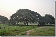 0_Cambodia_Banteay_Chhmar_DSC_0007 0_Cambodia_Banteay_Chhmar_DSC_0007