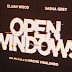 Mi visión de Open Windows