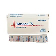 Amocal ট্যাবলেট এর কাজ কি | Amocal খাওয়ার নিয়ম | Amocal ট্যাবলেট এর দাম 
