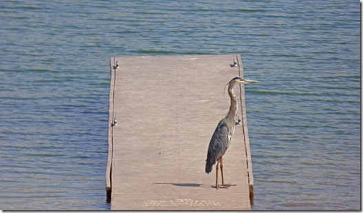  Steinaker Lake State Park 