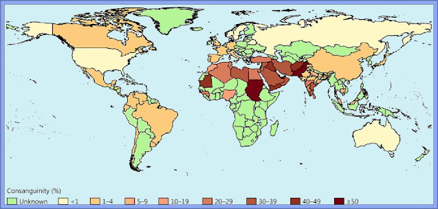 Consanguinity Rates Worldwide