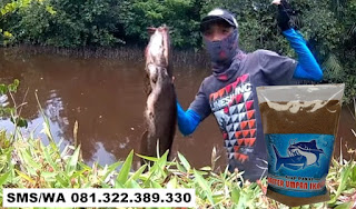 Umpan Pelet Serbuk Paling Gacor Untuk Ikan Lele