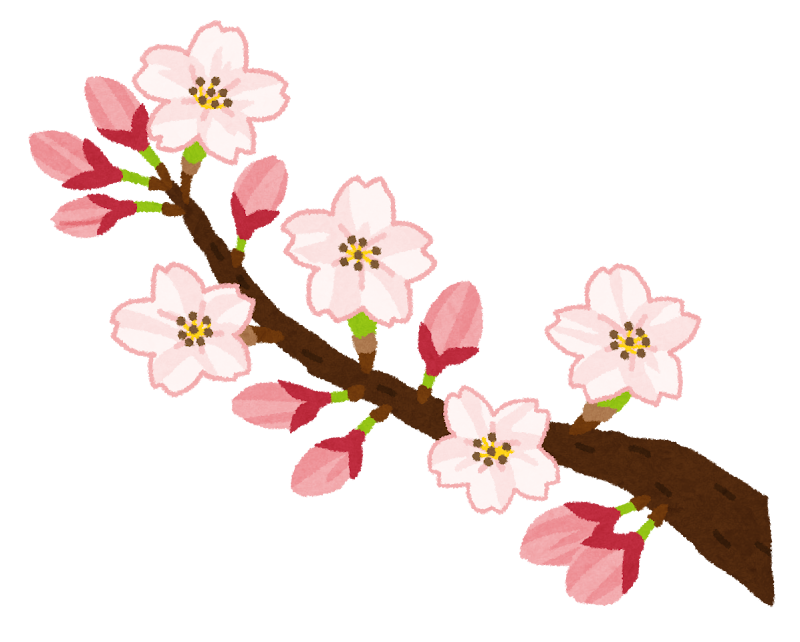 桜の開花のイラスト ソメイヨシノ かわいいフリー素材集 いらすとや 桜の開花のイラスト ソメイヨシノ かわいいフリー素材集 いらすとや