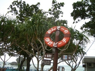 CIMG0519[3]