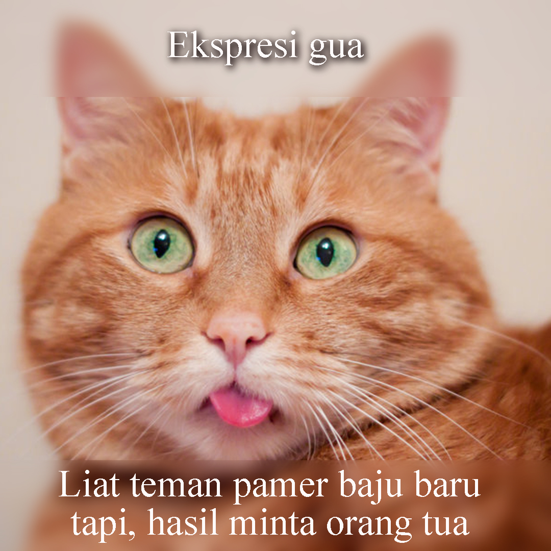 Meme Lucu Dan Gokil Yang Super Nyindir Kamu Pas Momen Lebaran