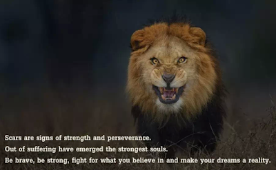 Lion Quotes About Being Strong